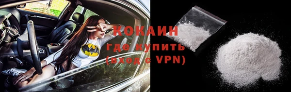 ГАЛЛЮЦИНОГЕННЫЕ ГРИБЫ Абаза