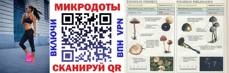 купить наркоту  Полтавская  Псилоцибиновые грибы прущие грибы 